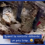 Quand la rentrée déborde un peu trop -> Delalande Plomberie