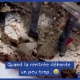 Quand la rentrée déborde un peu trop -> Delalande Plomberie