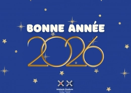 Toute l’équipe de Plomberie Delalande vous souhaite de très belles fêtes de fin d’année !